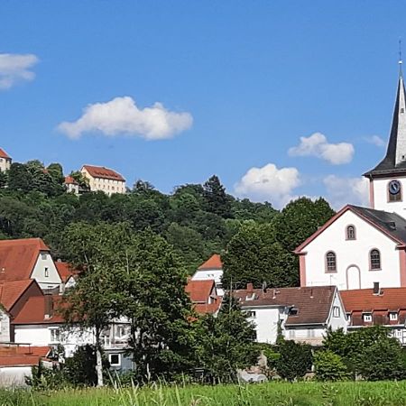 Ferienwohnung Odenwaldflair Reichelsheim Dış mekan fotoğraf