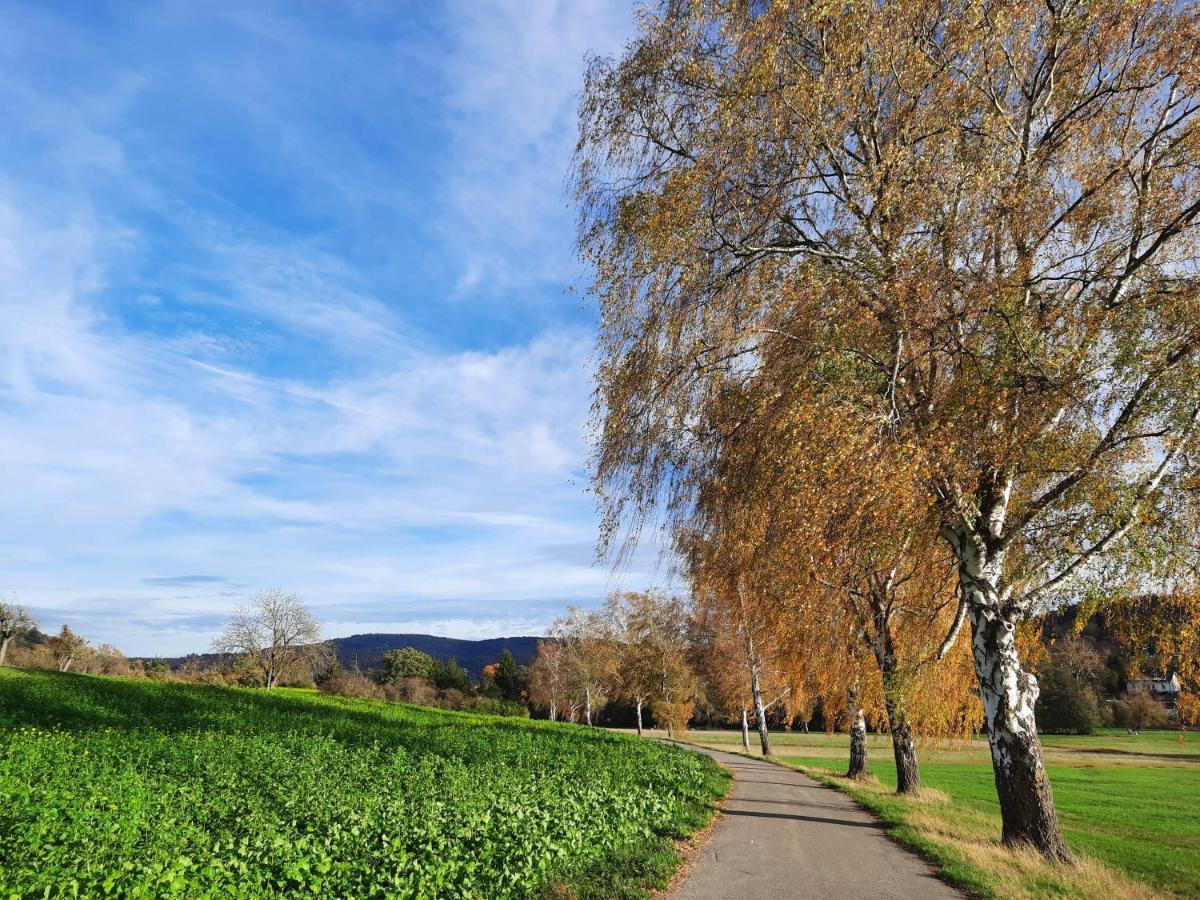 Ferienwohnung Odenwaldflair Reichelsheim Dış mekan fotoğraf